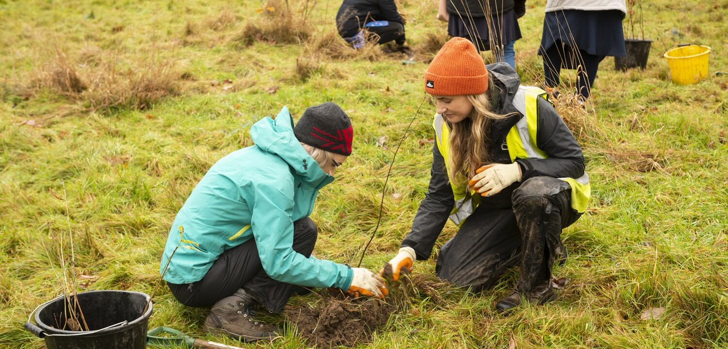 Two people taking part in tree planting