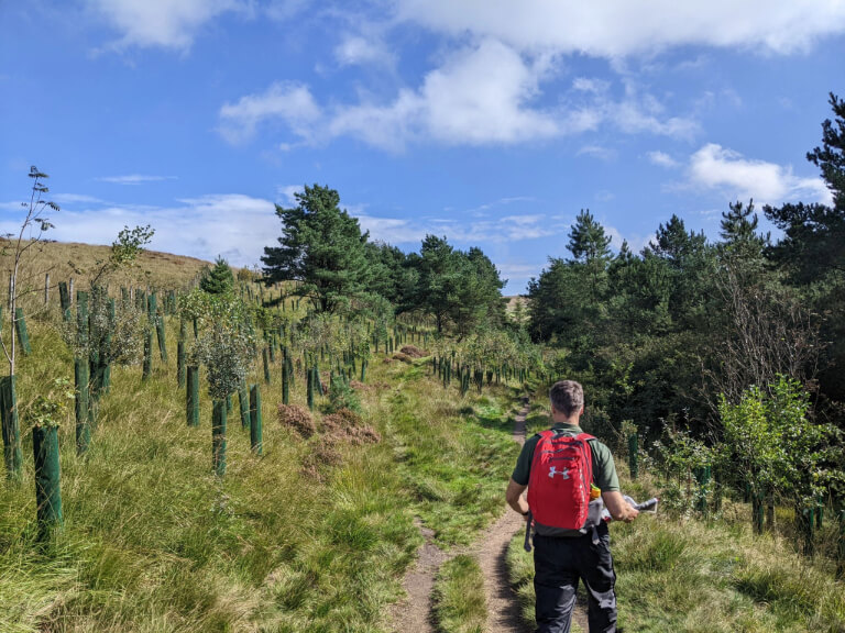 Man exploring tree planting site