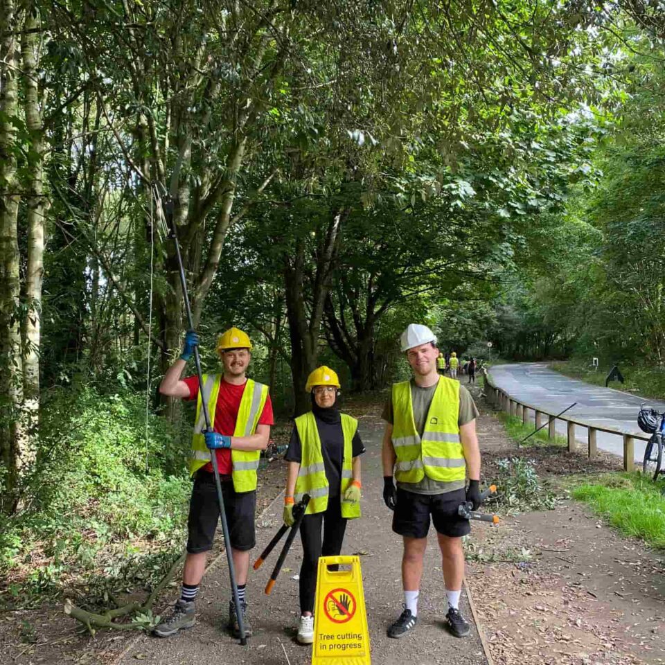 3 individuals taking part in woodland management