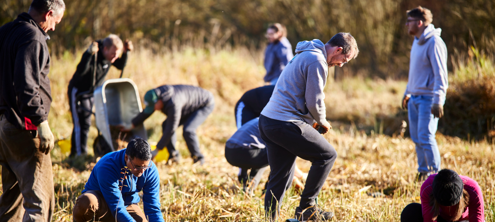 Corporate group taking part in tre planting event