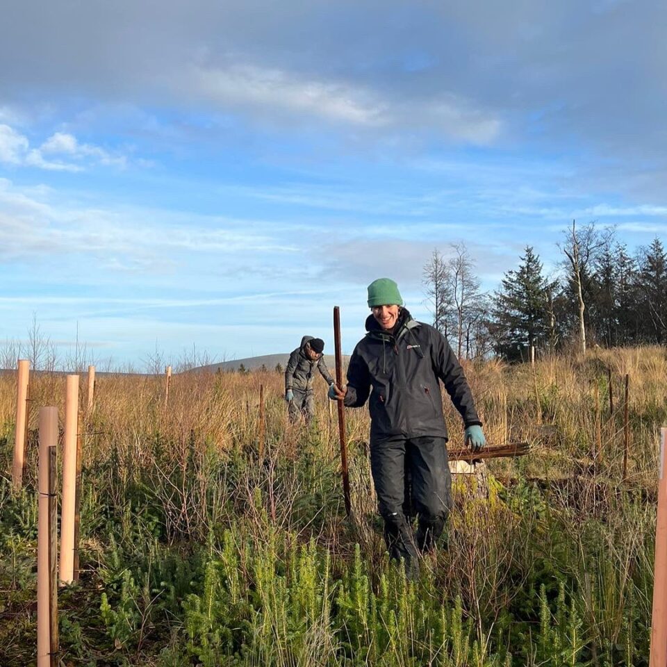 Member of staff walking through field with trees