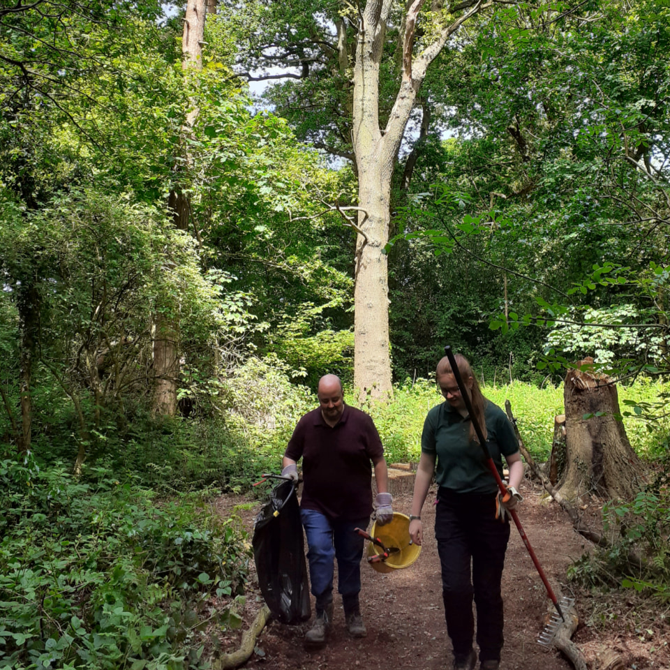 man and woman litter picking in a woodland