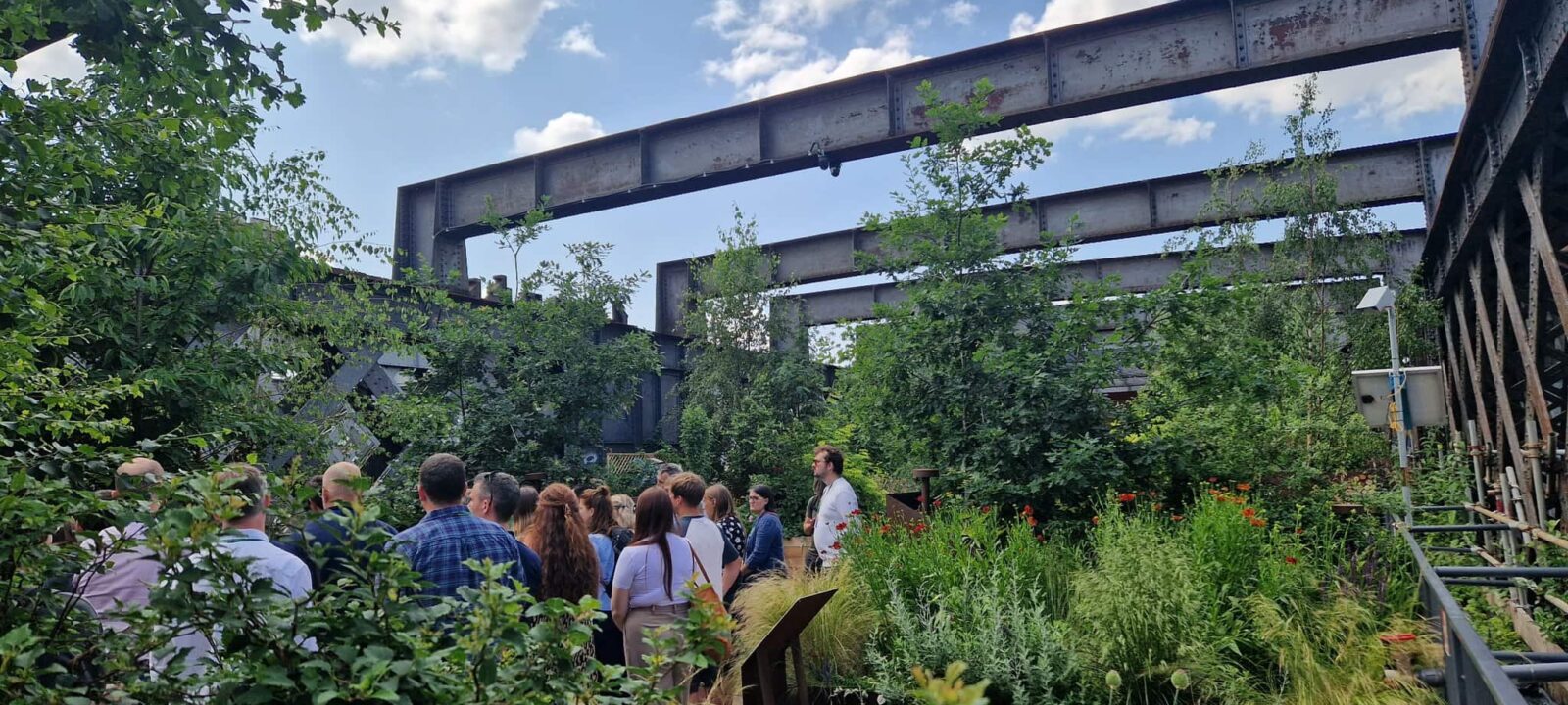 Garden plot in bloom in sky garden on viaduct in Manchester