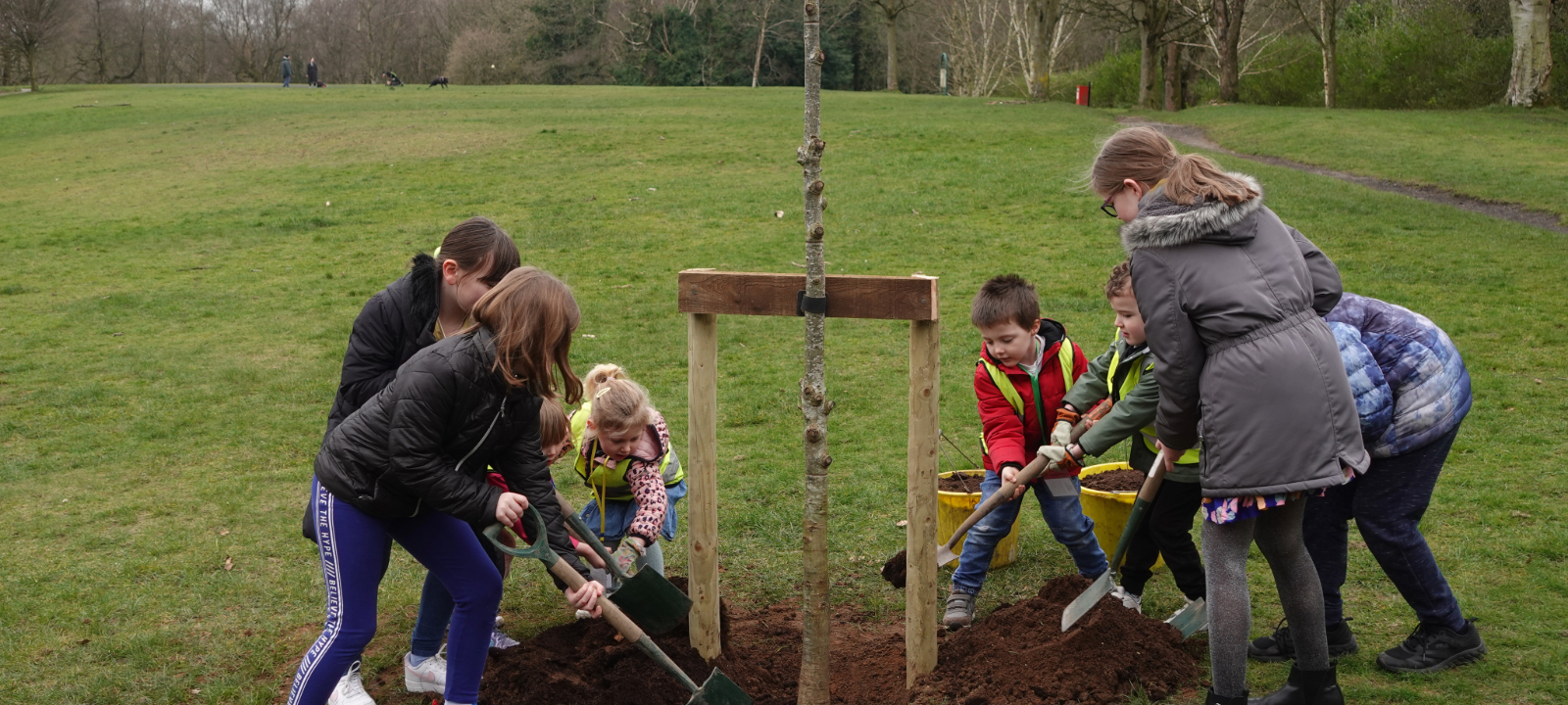 School children tree planting