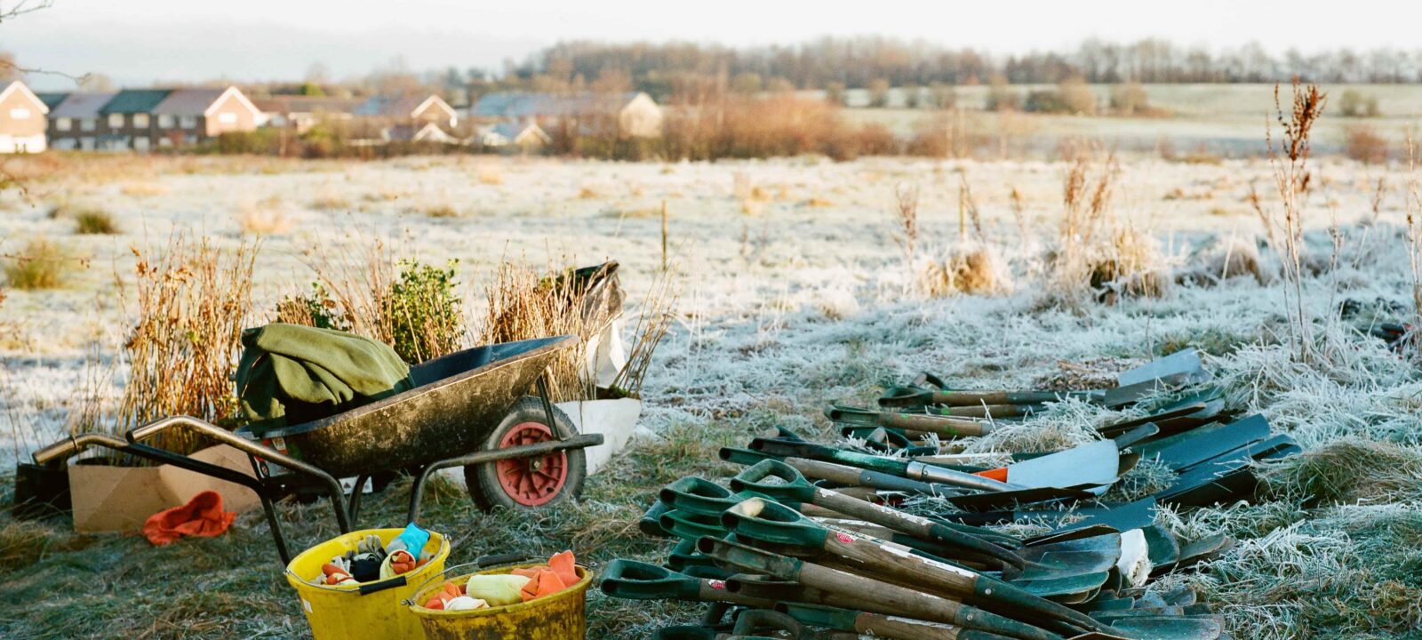 Spades and buckets for tree planting