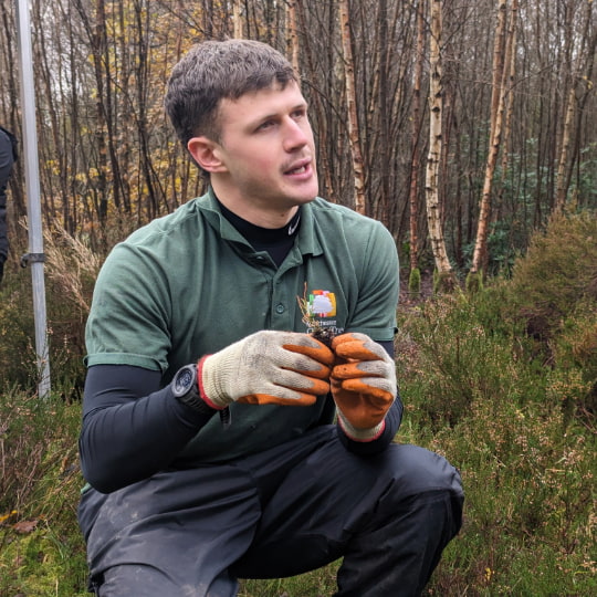 Member of team Jos, holding a new tree wearing gloves