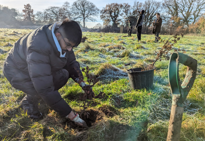 Man planting tree on frosty morning with spade and bucket