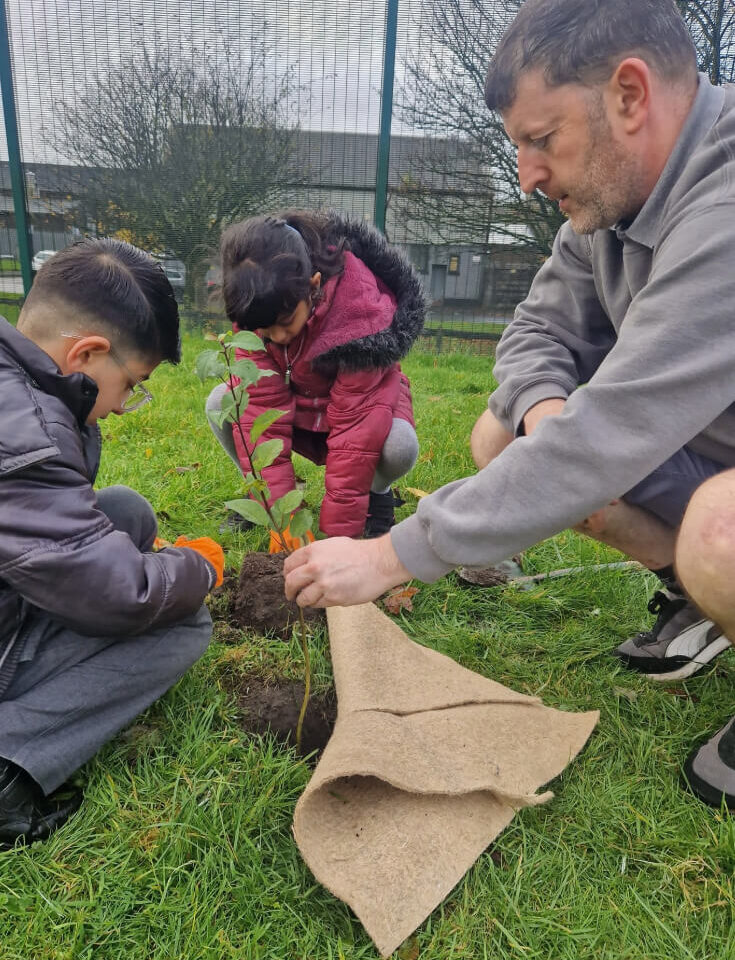 Two children planting and matting a free tree provided to schools with a male teacher