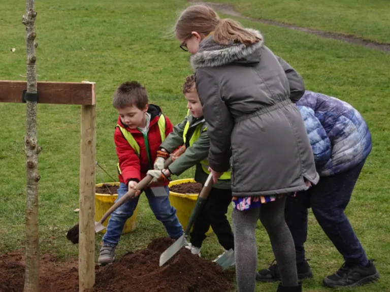 Group of school children working together to plant a tree