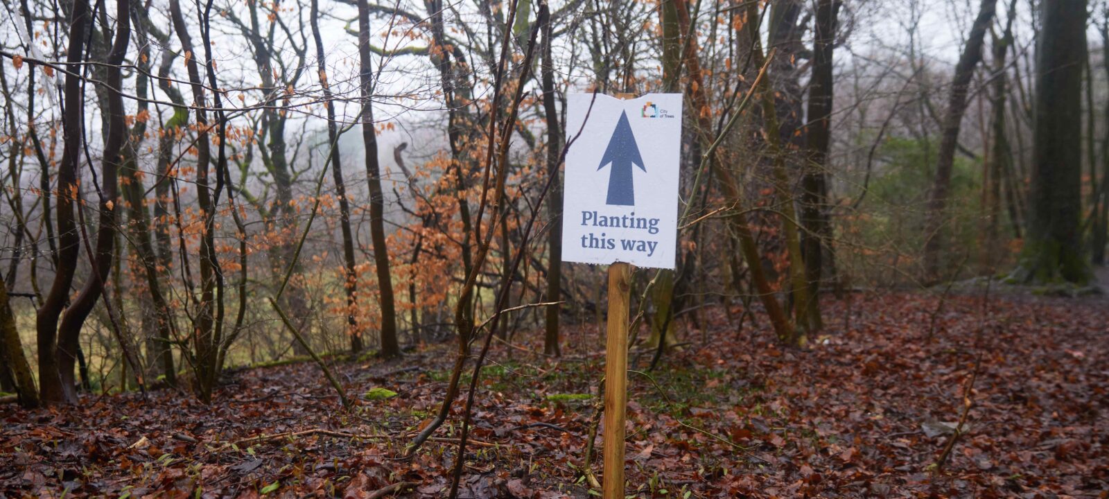 City of Trees tree planting sign in a woodland