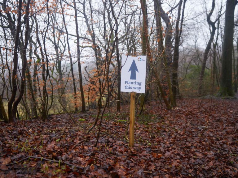 City of Trees tree planting sign in a woodland