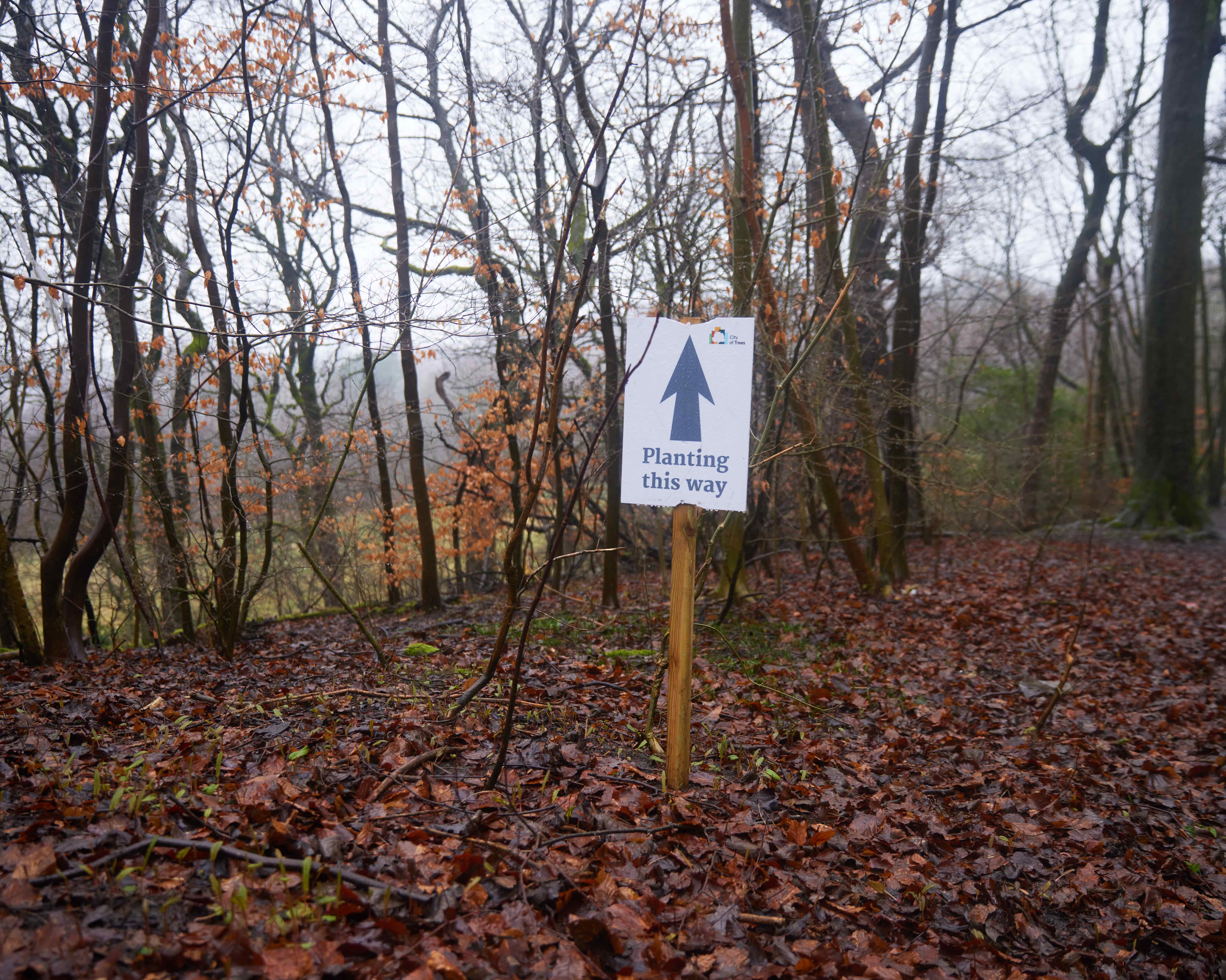 The Community Forest for Greater Manchester | City of Trees