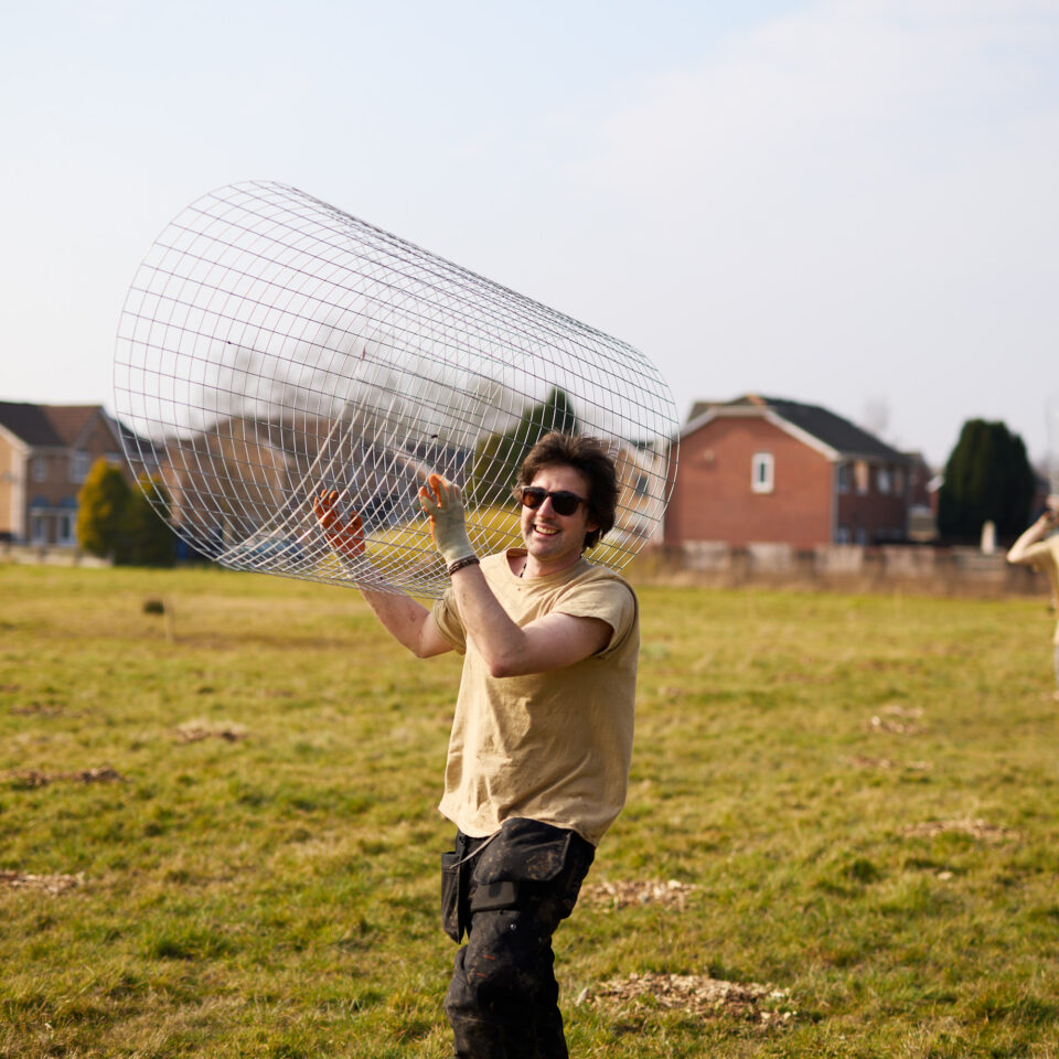 Team carrying cage to protect new trees